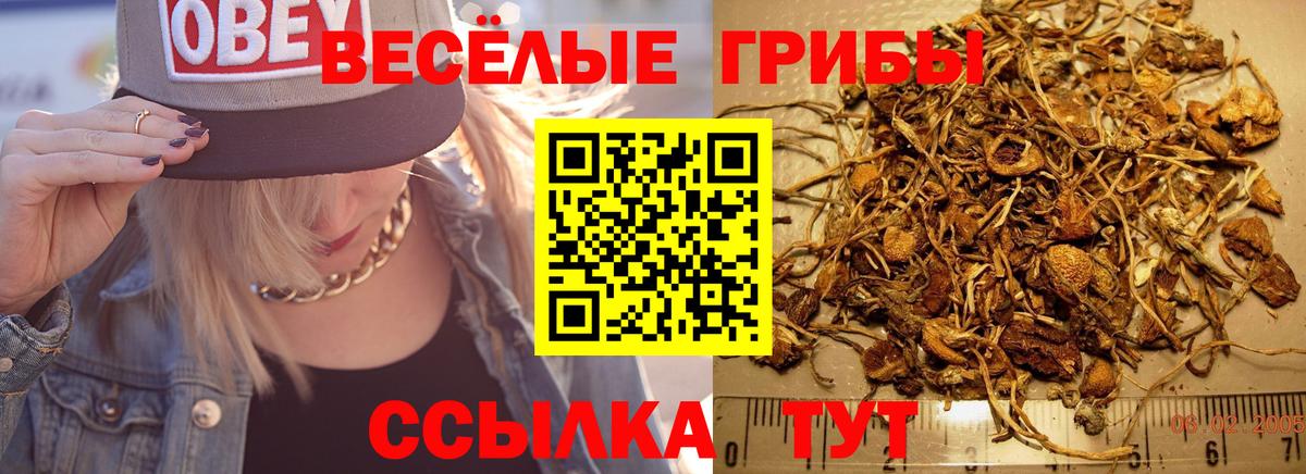 Кстово  Галлюциногенные грибы Cubensis  Псилоцибиновые грибы Magic Shrooms  Вход с VPN 